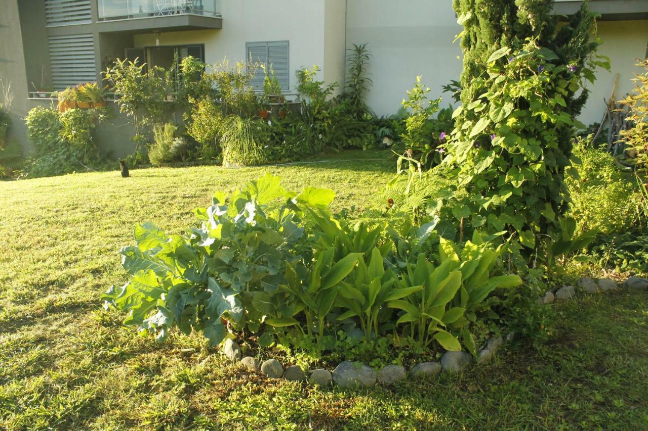 Rochas Shared Apart Garden Refuge Funchal  Zewnętrze zdjęcie