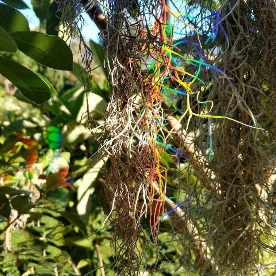 Rochas Shared Apart Garden Refuge Funchal  Zewnętrze zdjęcie